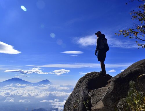 Protected: My Story: How I Found Freedom, Fulfillment, and a Life I Actually Wanted